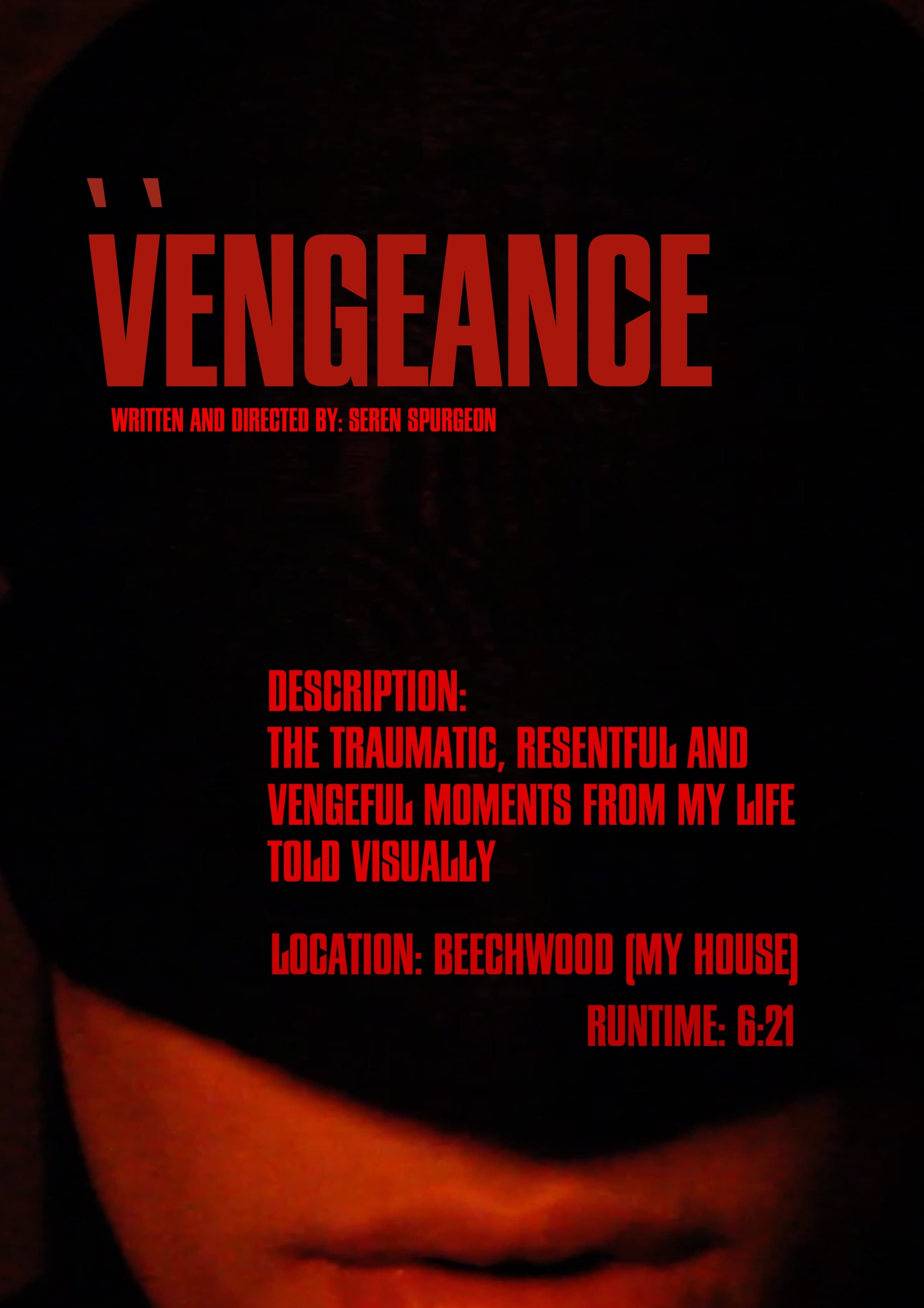 Vengeance poster